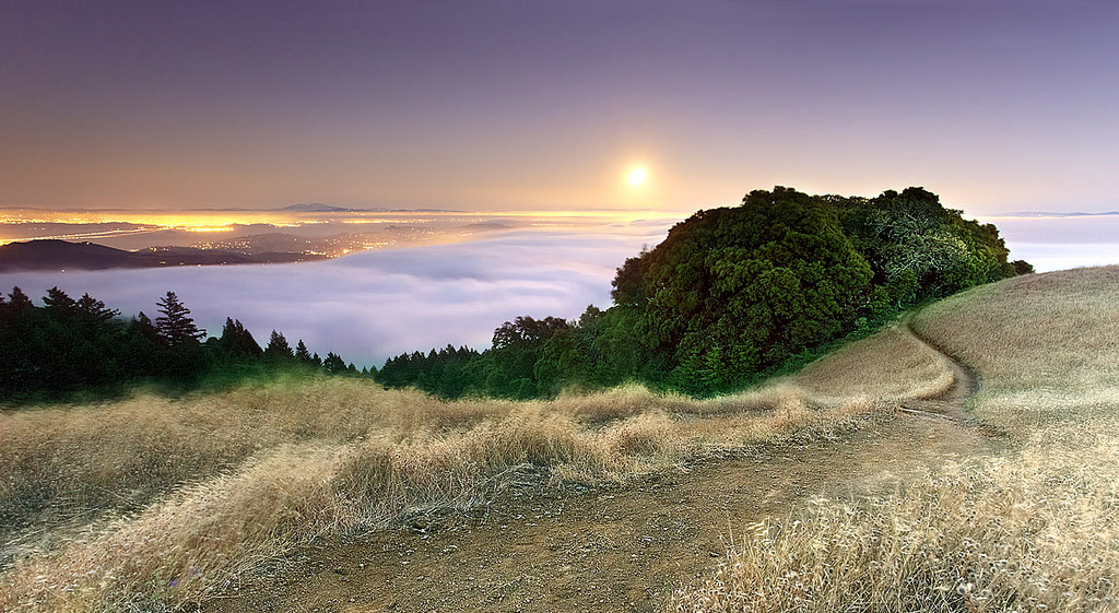 Tamalpais in Moonlight